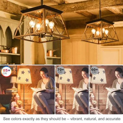 Vintage LED Edison Light Bulbs 60 Watt
