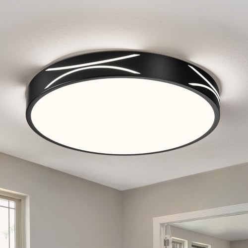 Modern Flush Mount Ceiling Light Fixture