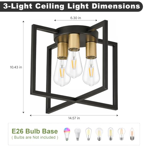 3 Light Ceiling Light