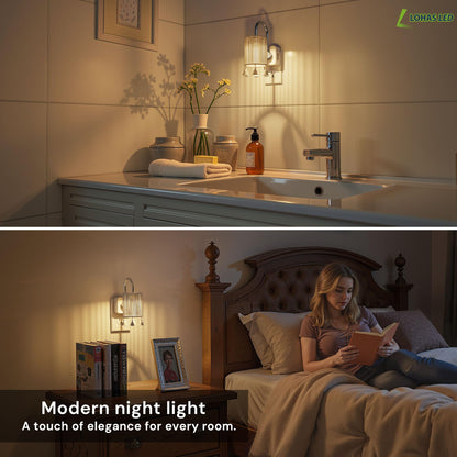 Night Lights Plug into Wall (Silver pole -3000k / 1 Pack)