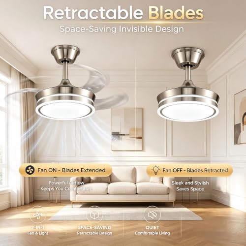 Ceiling Fans with Lights