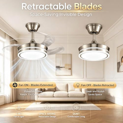 Ceiling Fans with Lights