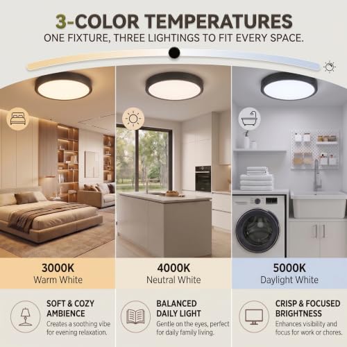 Matte Black Flush Mount Ceiling Light