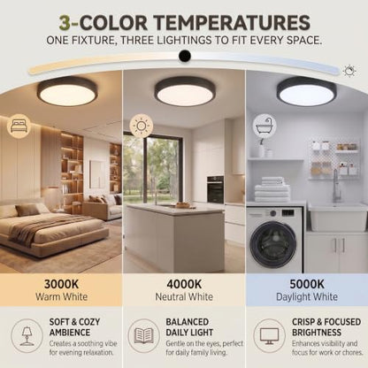 Matte Black Flush Mount Ceiling Light