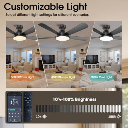 Ceiling Fans with Lights