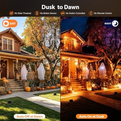 Halloween Flood Lights