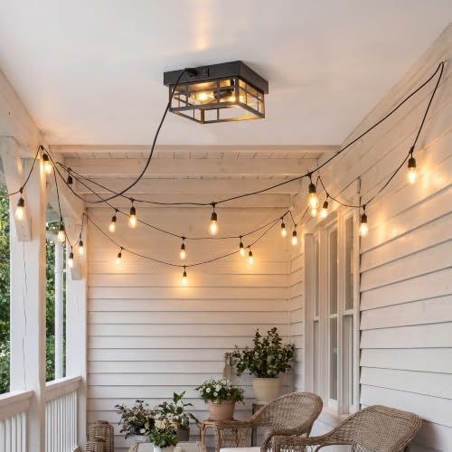 Flush Mount Light