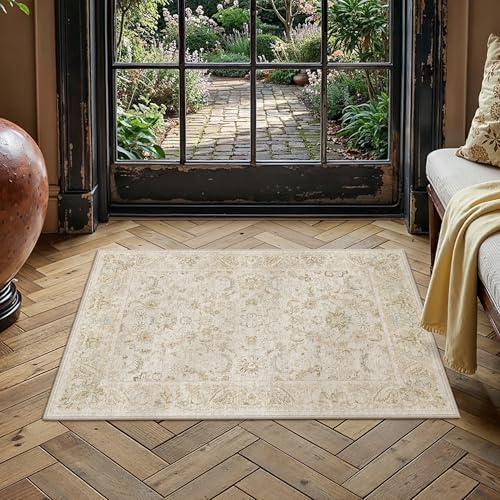 2x3 Beige Washable Area Rug Non Slip Retro Distressed Doormat (Distressed | Beige / 2' x 3' (Rectangular))