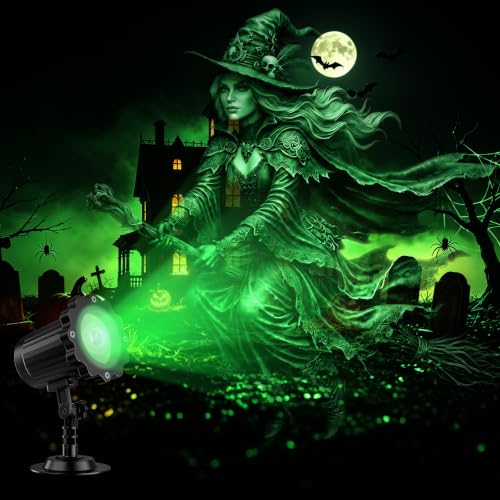 Projection Lamp