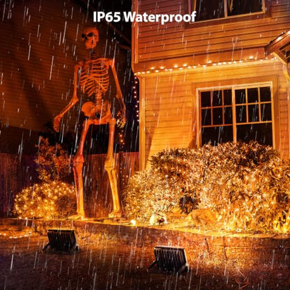 Halloween Flood Lights