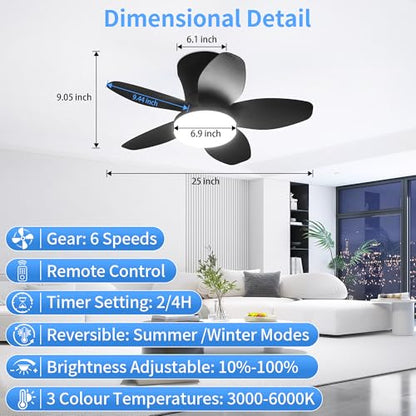 Ceiling Fan with Lights