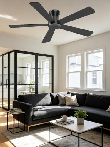Ceiling Fan No Light