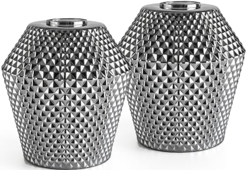 2Pcs Small Glass Lamp Shades