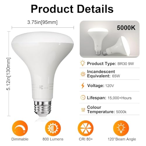 BR30 Flood Light Bulb Indoor