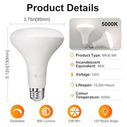 BR30 Flood Light Bulb Indoor