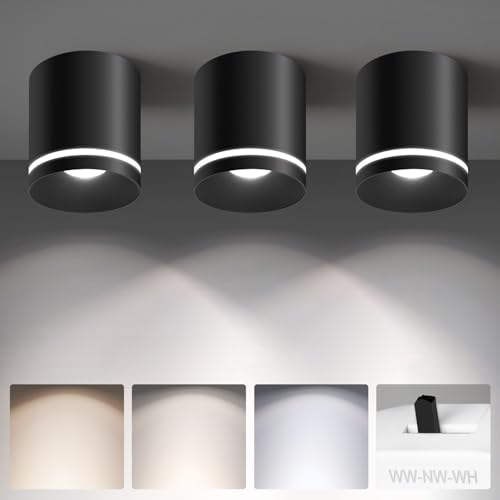 Ceiling Light Fixtures for Hallway Kitchen Entryway