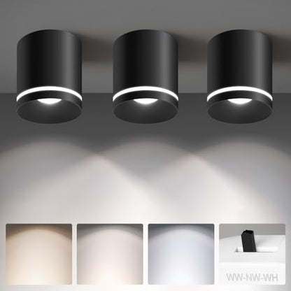 Ceiling Light Fixtures for Hallway Kitchen Entryway