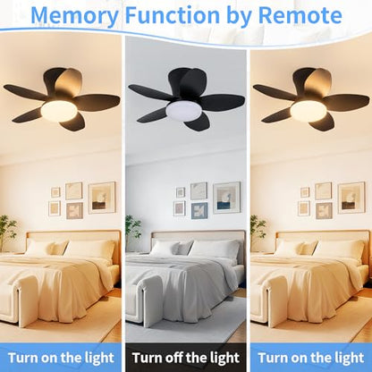 Ceiling Fan with Lights