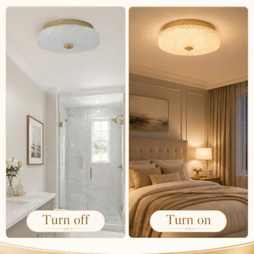 Crystal Flush Mount Ceiling Light