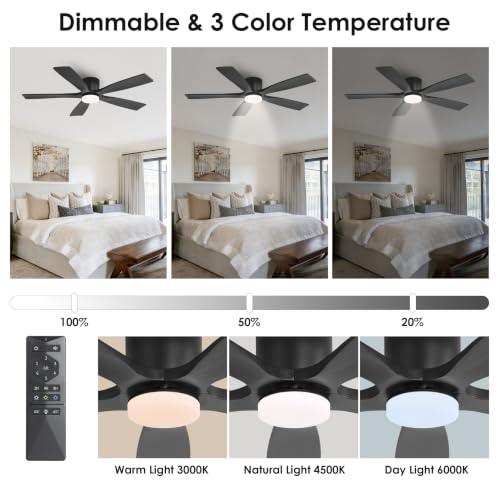 Ceiling Fan with Lights
