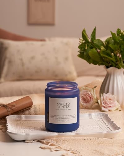Ode to Winter Candles for Home Scented 19.4Oz Natural Soy Wax 110H (Large Jar / OdeToWinter)