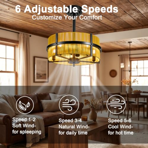 Chandelier Ceiling Fan with Light