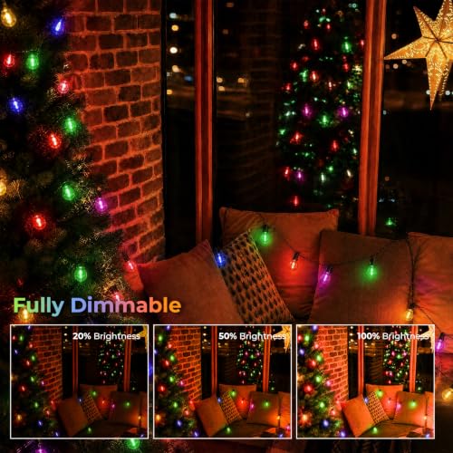 G40 LED Outdoor String Bulbs for Christmas