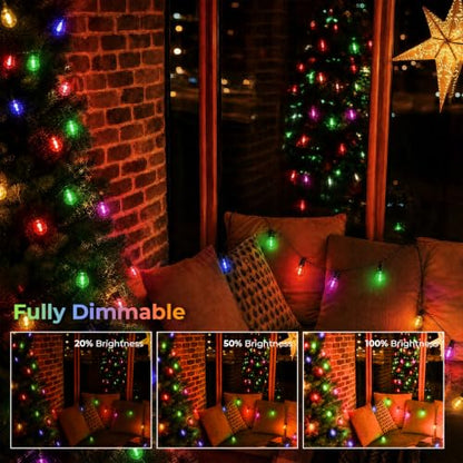 G40 LED Outdoor String Bulbs for Christmas