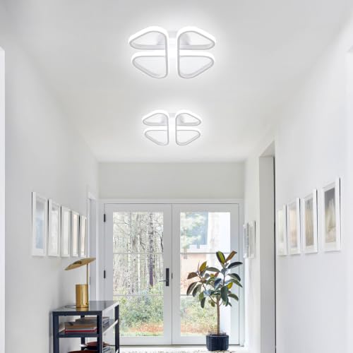Modern LED Ceiling Light