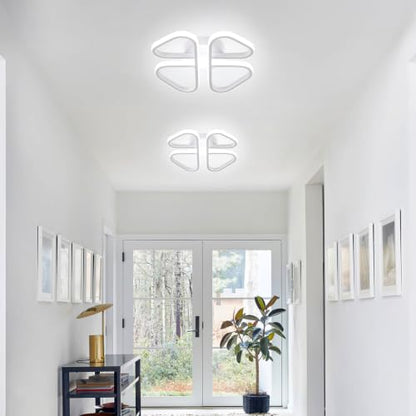 Modern LED Ceiling Light