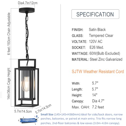 Double Cage Pendant Outdoor Wall Lighting