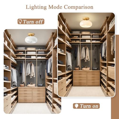 Moredern Black Ceiling Light0 00001