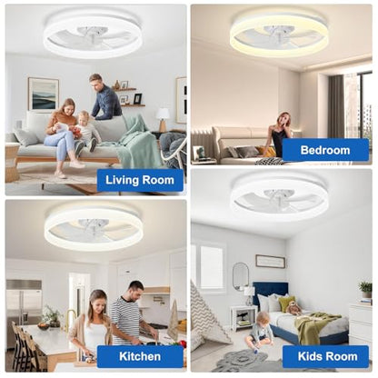DLLT Modern Ceiling Fans with Lights