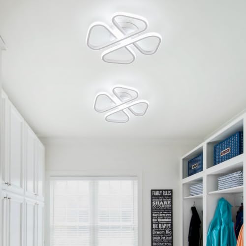 Modern LED Ceiling Light