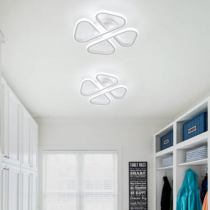 Modern LED Ceiling Light