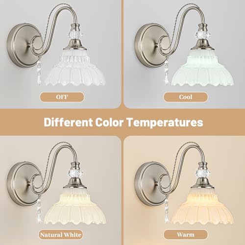 1 Piece Brushed Nickel Finish Wall Sconce (Nickel and White / 1-Light)