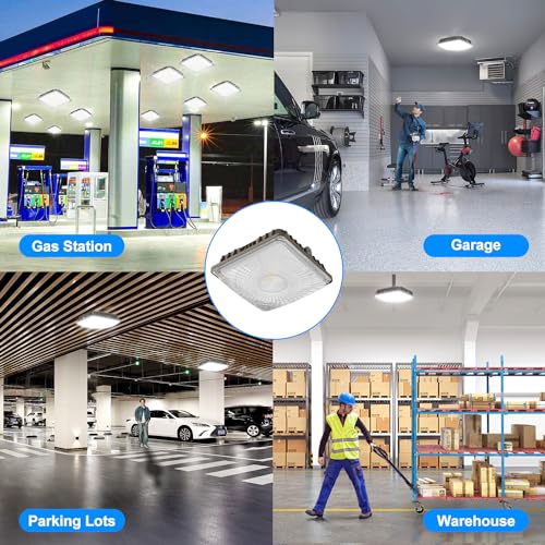 LED Canopy Light