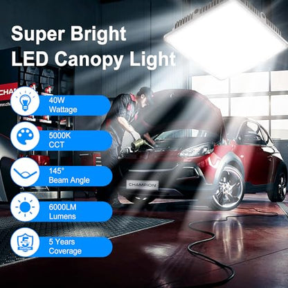 LED Canopy Light