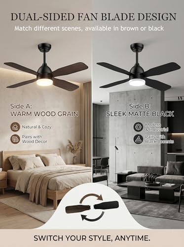 Ceiling Fans with Lights