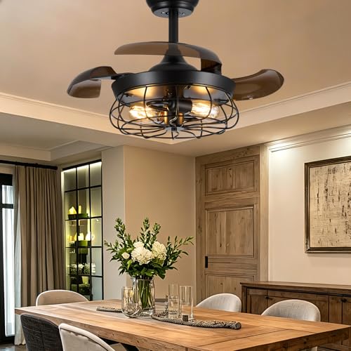 Caged Ceiling Fan