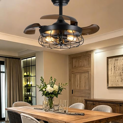 Caged Ceiling Fan