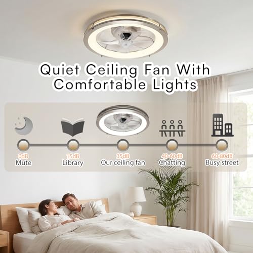 Ceiling Fans with Lights