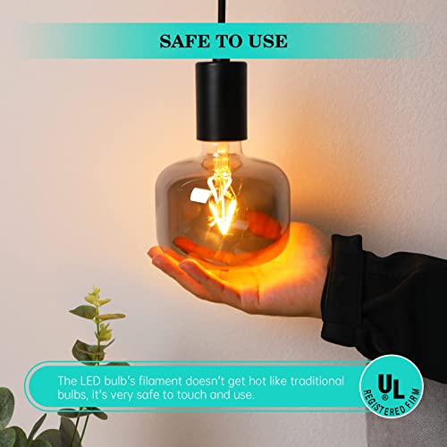 Large Decorative LED Edison Light Bulb