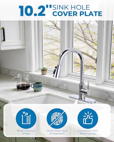 10.2 Inch Faucet Deck Plate (Chrome)