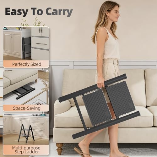 Step Folding Ladder