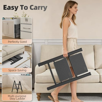 Step Folding Ladder