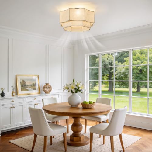 20" boho ceiling fan with lights