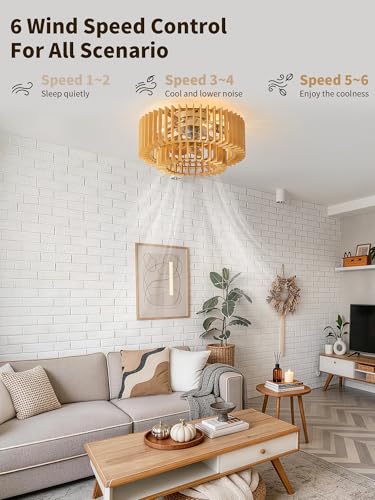 20" Wood Caged Ceiling Fans with Lights