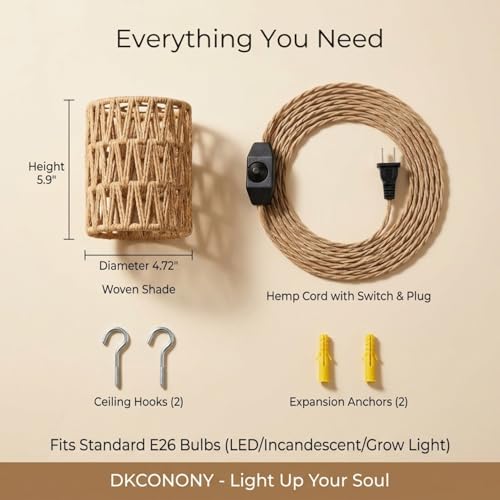 Dimmable Boho Hanging Lamp with Plug in Cord