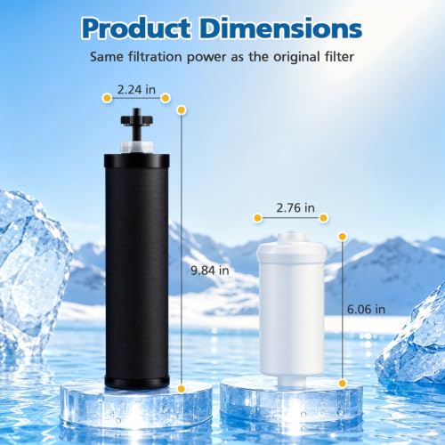 Water Filter Replacement